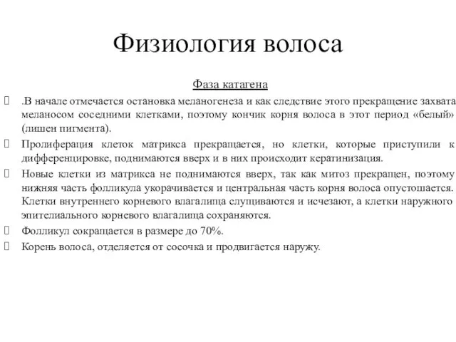 Физиология волоса Фаза катагена .В начале отмечается остановка меланогенеза и как