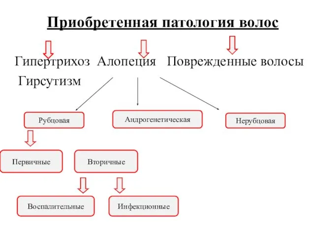 Приобретенная патология волос Гипертрихоз Алопеция Поврежденные волосы Гирсутизм Рубцовая Нерубцовая Андрогенетическая Первичные Вторичные Воспалительные Инфекционные