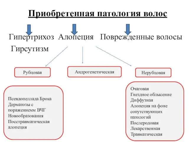 Приобретенная патология волос Гипертрихоз Алопеция Поврежденные волосы Гирсутизм Рубцовая Нерубцовая Псевдопеллада