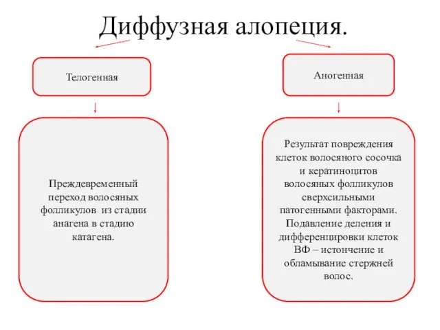 Диффузная алопеция. Телогенная Аногенная Преждевременный переход волосяных фолликулов из стадии анагена