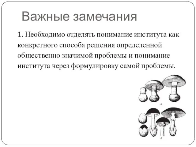 Важные замечания 1. Необходимо отделять понимание института как конкретного способа решения