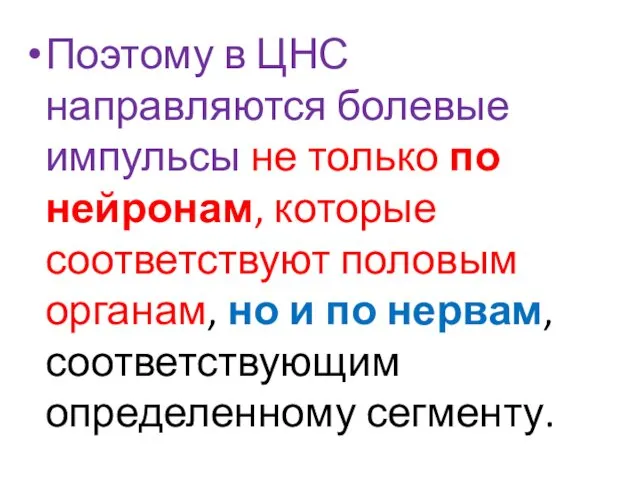 Поэтому в ЦНС направляются болевые импульсы не только по нейронам, которые