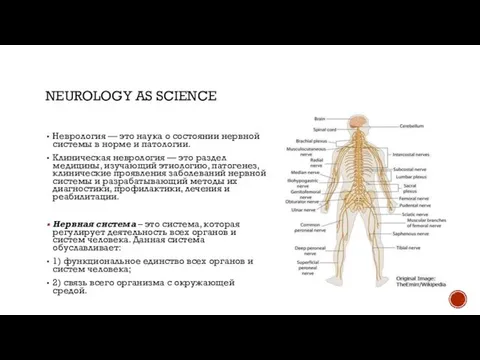 NEUROLOGY AS SCIENCE Неврология — это наука о состоянии нервной системы