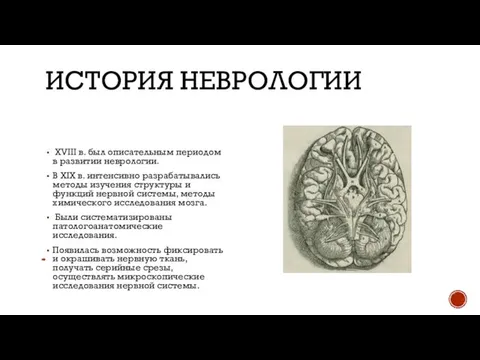 ИСТОРИЯ НЕВРОЛОГИИ XVIII в. был описательным периодом в развитии неврологии. В