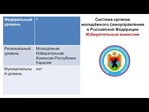 Система органов молодёжного самоуправления в Российской Федерации Избирательные комиссии