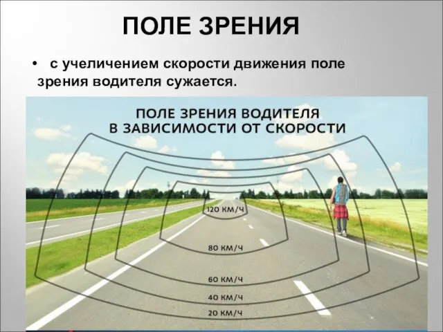 ПОЛЕ ЗРЕНИЯ с учеличением скорости движения поле зрения водителя сужается.