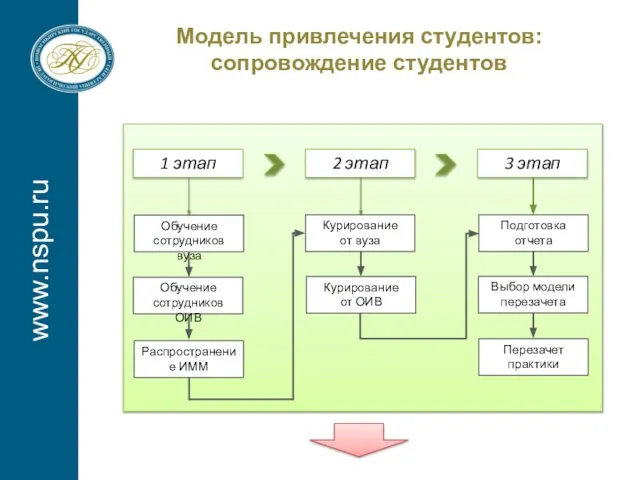 www.nspu.ru Модель привлечения студентов: сопровождение студентов