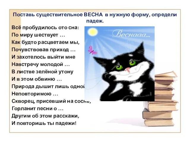 Поставь существительное ВЕСНА в нужную форму, определи падеж. Всё пробудилось ото