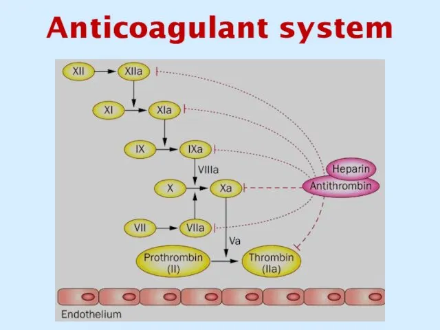 Anticoagulant system