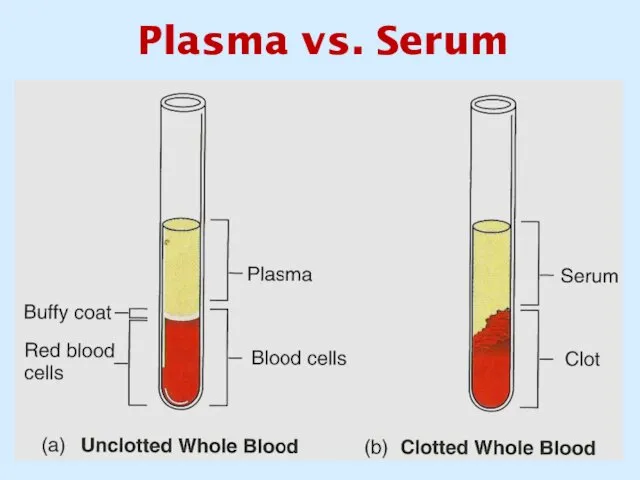 Plasma vs. Serum