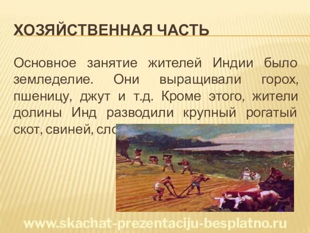 ХОЗЯЙСТВЕННАЯ ЧАСТЬ Основное занятие жителей Индии было земледелие. Они выращивали горох,