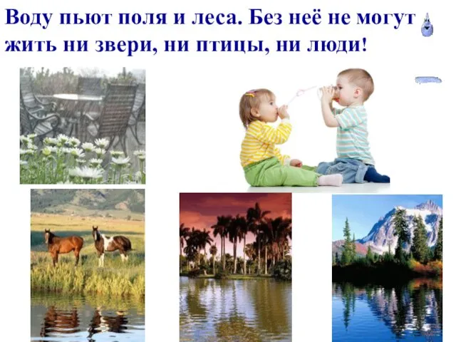 Воду пьют поля и леса. Без неё не могут жить ни звери, ни птицы, ни люди!