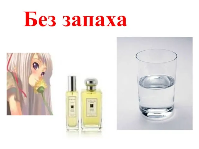 Без запаха