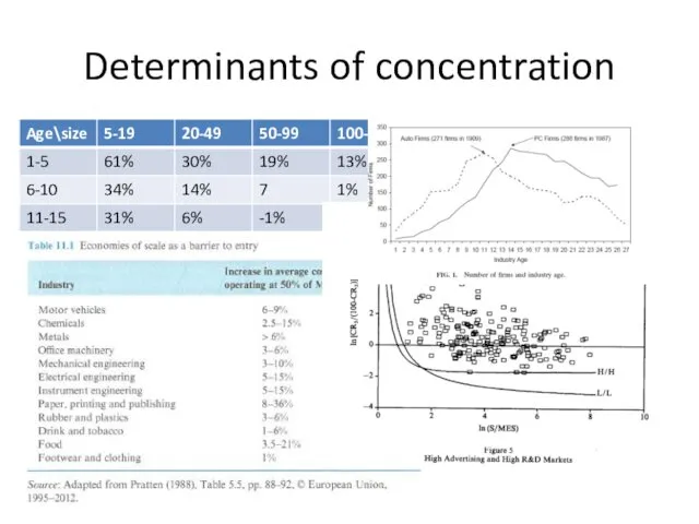 Determinants of concentration