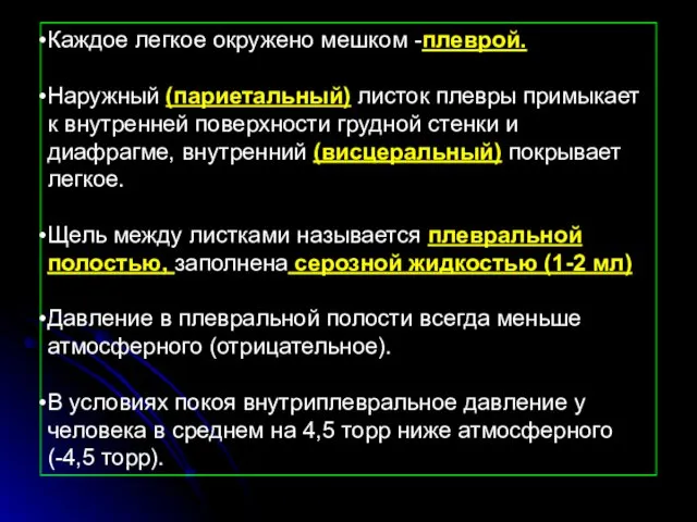 Каждое легкое окружено мешком -плеврой. Наружный (париетальный) листок плевры примыкает к