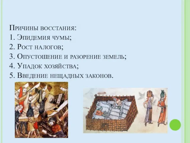 Причины восстания: 1. Эпидемия чумы; 2. Рост налогов; 3. Опустошение и