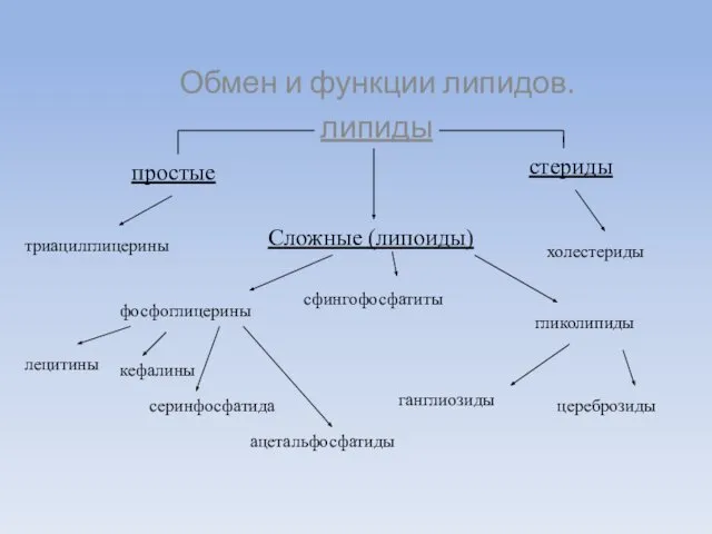 Обмен и функции липидов. липиды Сложные (липоиды) простые стериды холестериды триацилглицерины