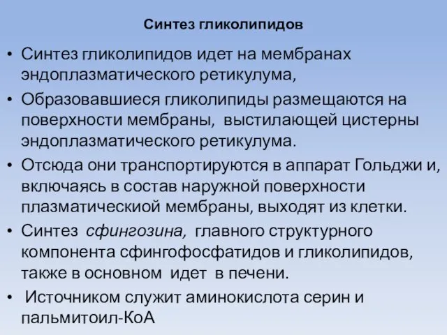 Синтез гликолипидов Синтез гликолипидов идет на мембранах эндоплазматического ретикулума, Образовавшиеся гликолипиды