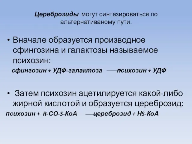 Цереброзиды могут синтезироваться по альтернативаному пути. Вначале образуется производное сфингозина и