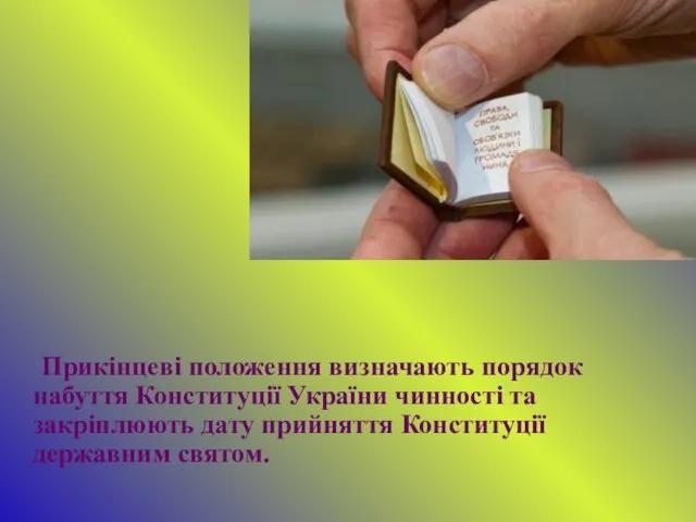 Прикінцеві положення визначають порядок набуття Конституції України чинності та закріплюють дату прийняття Конституції державним святом.