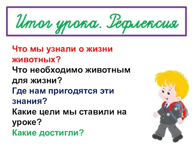 Что мы узнали о жизни животных? Что необходимо животным для жизни?