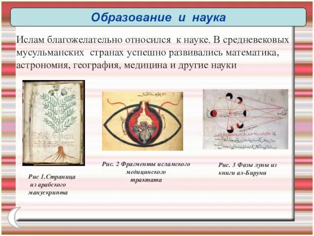 Образование и наука Ислам благожелательно относился к науке. В средневековых мусульманских