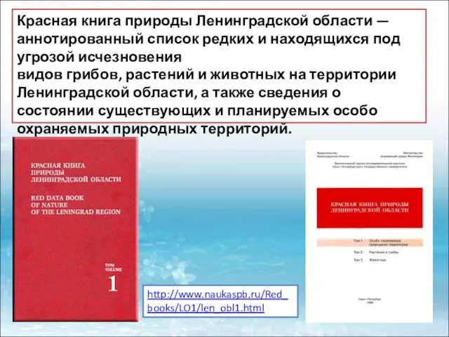 Красная книга природы Ленинградской области — аннотированный список редких и находящихся