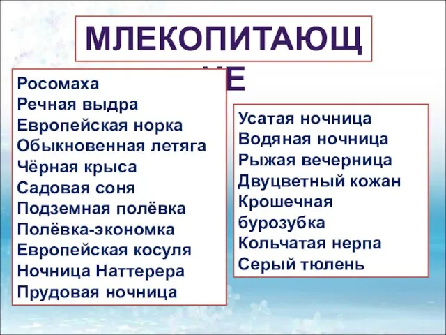 МЛЕКОПИТАЮЩИЕ Росомаха Речная выдра Европейская норка Обыкновенная летяга Чёрная крыса Садовая