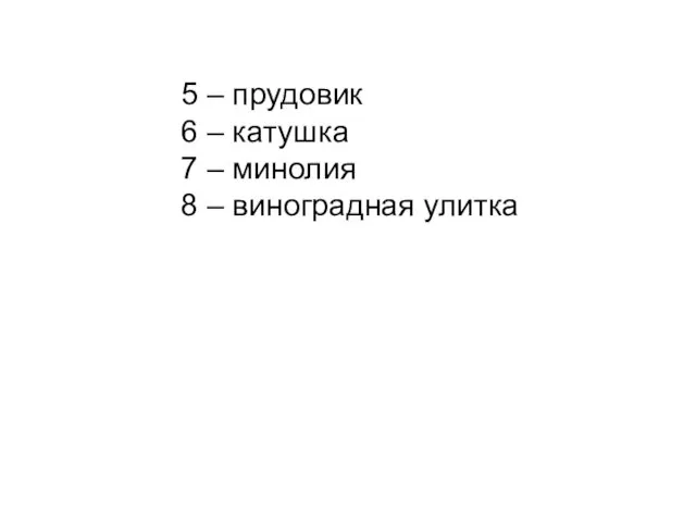 5 – прудовик 6 – катушка 7 – минолия 8 – виноградная улитка