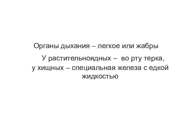 Органы дыхания – легкое или жабры У растительноядных – во рту