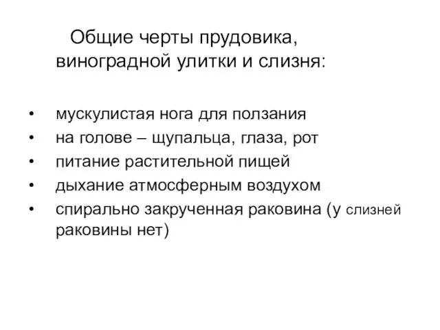 Общие черты прудовика, виноградной улитки и слизня: мускулистая нога для ползания