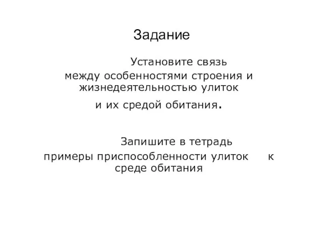 Задание Установите связь между особенностями строения и жизнедеятельностью улиток и их