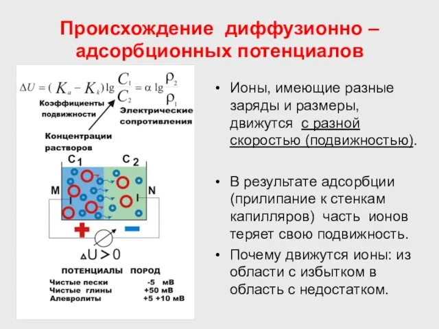 Происхождение диффузионно –адсорбционных потенциалов Ионы, имеющие разные заряды и размеры, движутся