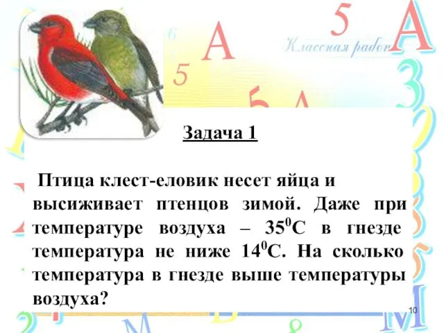 Задача 1 Птица клест-еловик несет яйца и высиживает птенцов зимой. Даже