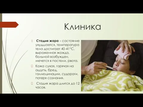 Клиника Стадия жара – состояние ухудшается, температура тела достигает 40-41оС, выраженная