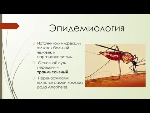 Эпидемиология Источником инфекции является больной человек и паразитоноситель. Основной путь передачи