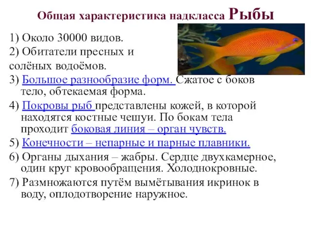 1) Около 30000 видов. 2) Обитатели пресных и солёных водоёмов. 3)