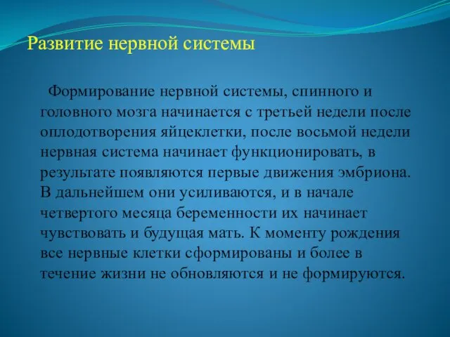 Развитие нервной системы Формирование нервной системы, спинного и головного мозга начинается