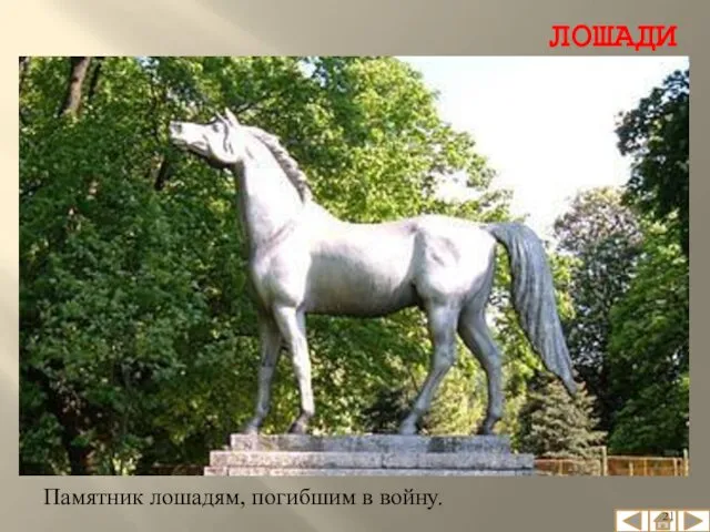 ЛОШАДИ Памятник лошадям, погибшим в войну.