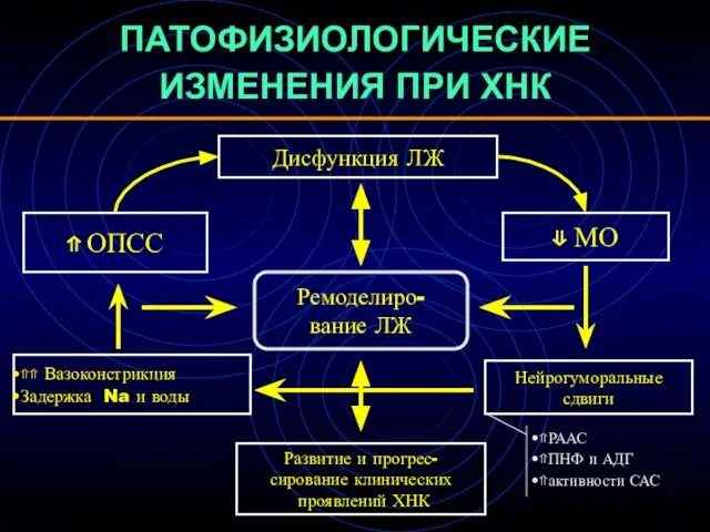 ПАТОФИЗИОЛОГИЧЕСКИЕ ИЗМЕНЕНИЯ ПРИ ХНК Ремоделиро- вание ЛЖ Дисфункция ЛЖ ⇑ ОПСС