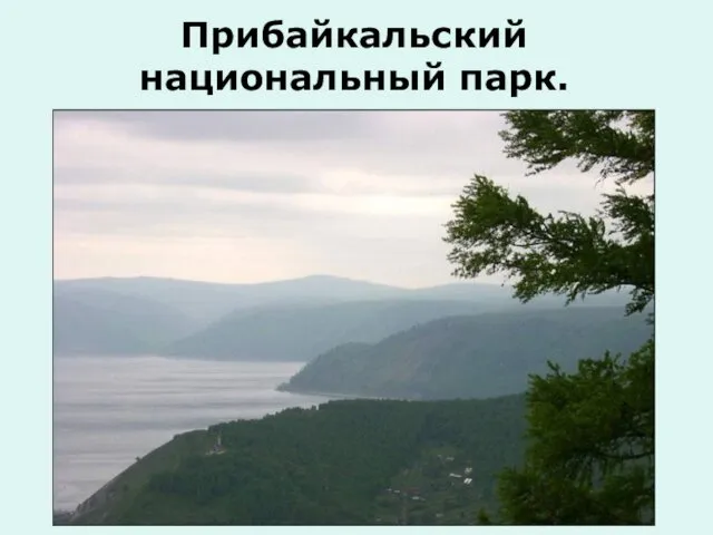 Прибайкальский национальный парк.
