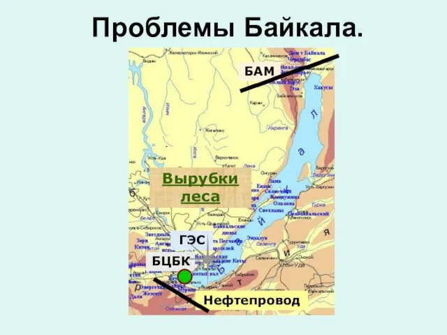Проблемы Байкала. Вырубки леса