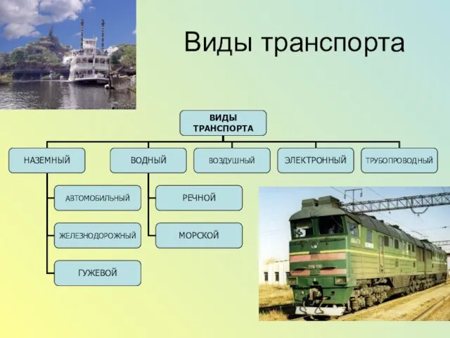 Виды транспорта