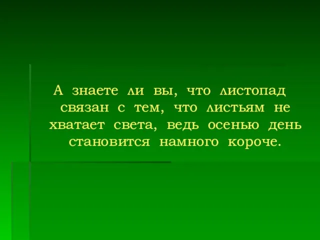 А знаете ли вы, что листопад связан с тем, что листьям