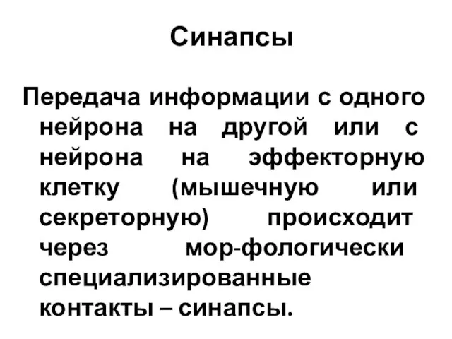 Синапсы Передача информации с одного нейрона на другой или с нейрона