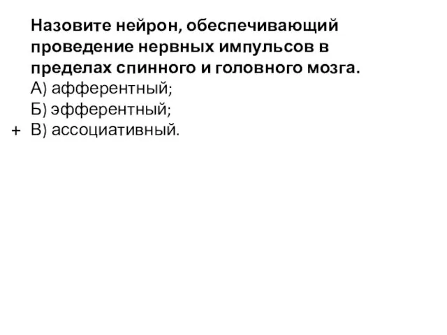 Назовите нейрон, обеспечивающий проведение нервных импульсов в пределах спинного и головного