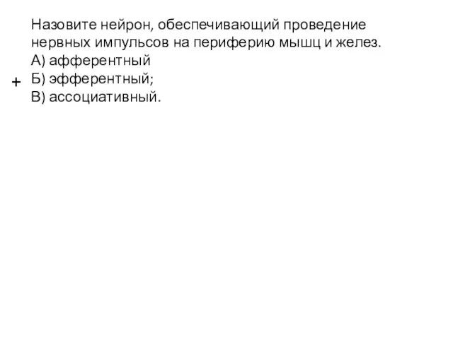 Назовите нейрон, обеспечивающий проведение нервных импульсов на периферию мышц и желез.