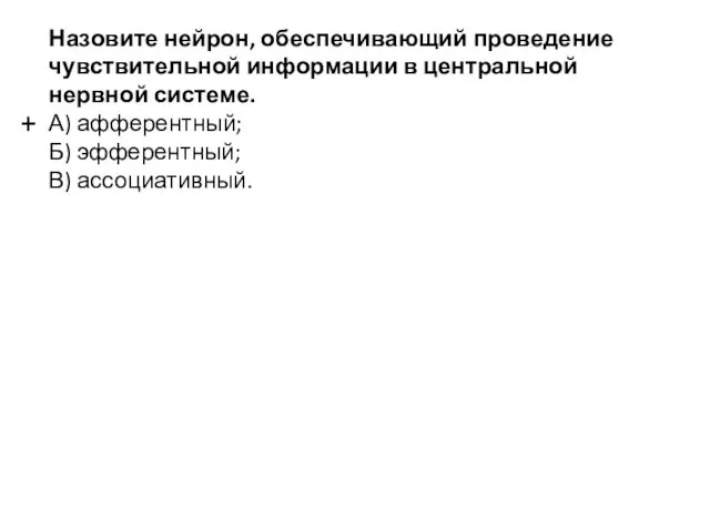 Назовите нейрон, обеспечивающий проведение чувствительной информации в центральной нервной системе. А)