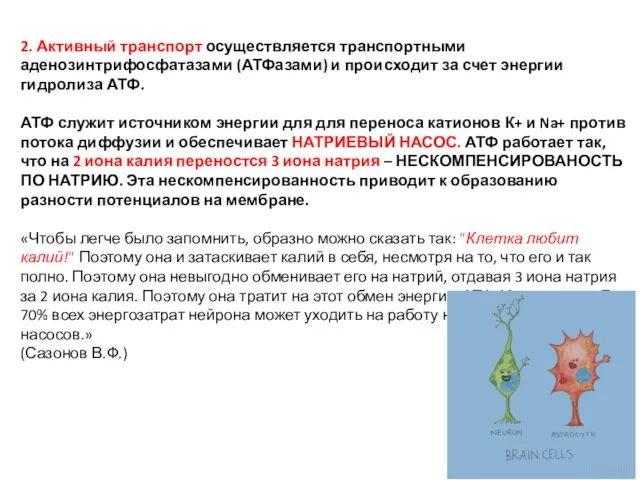 2. Активный транспорт осуществля­ется транспортными аденозинтрифосфатазами (АТФазами) и проис­ходит за счет