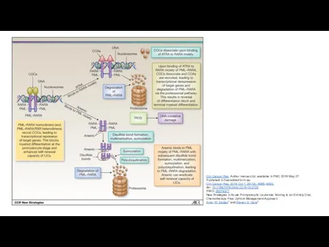 Clin Cancer Res. Author manuscript; available in PMC 2016 May 27.